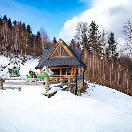 W Gorach Rogasiowa *